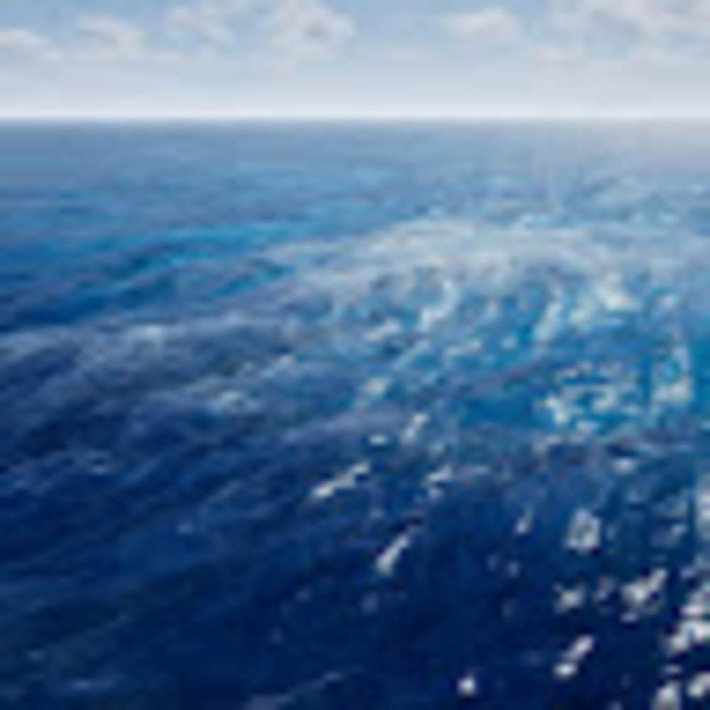 Meet your Posher, Pascali